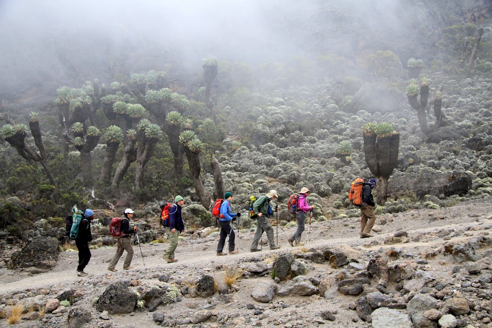 Mount Kilimanjaro Trekking