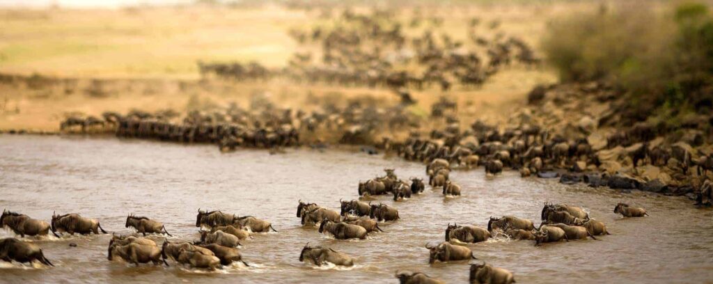 Serengeti National Park